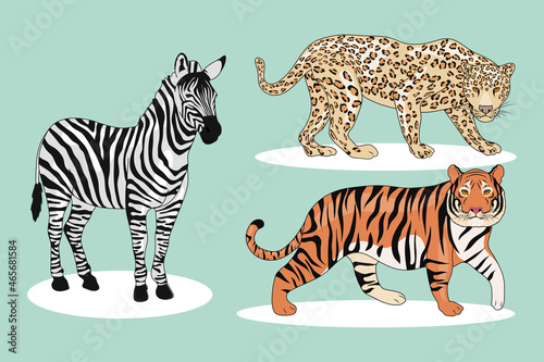 felines and zebra