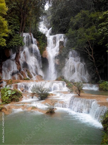 waterfall in the forest