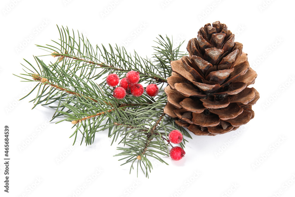 Christmas fir branches and pine cone on white background Christmas fir branches and pine cone on white background