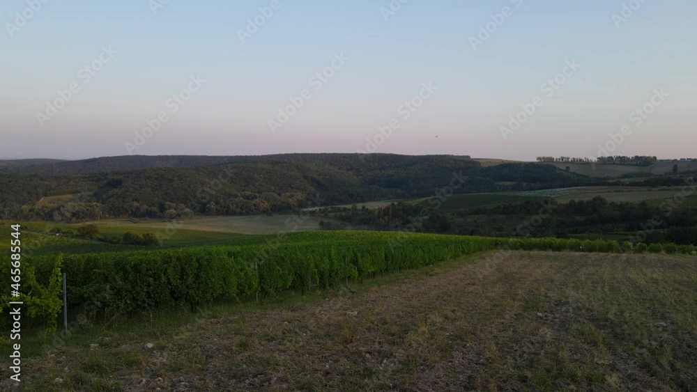 Aerial rising view of a vineyard and surrounding hills with a dam in the background. Aerial rising view of a vineyard and surrounding hills with a dam in the background.