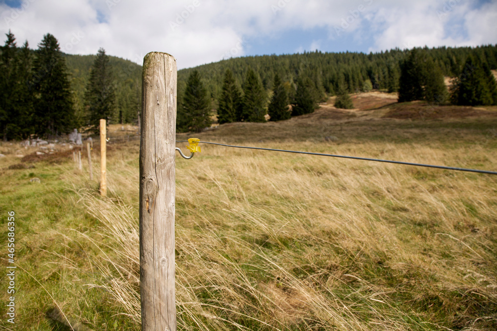 Pasture fence at Feldberg in the Black Forest