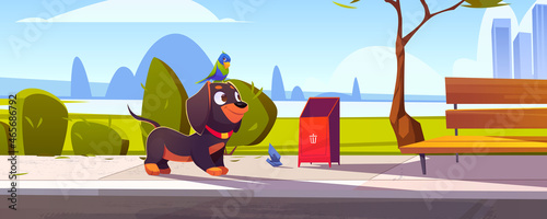 Cute dachshund dog with parrot sitting on head walking in city park with bench, trees and cityscape background. Pets, domestic animals walk, cartoon funny characters on street, Vector Illustration