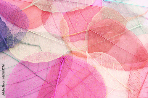 Colorful transparent and delicate leaves pastel background