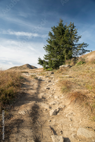 Fototapeta Naklejka Na Ścianę i Meble -  ścieżka na Połoninę Caryńską, Bieszczady