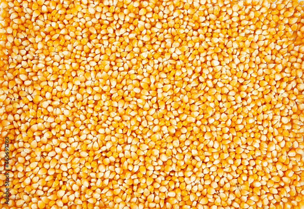dried corn kernels dried corn kernels