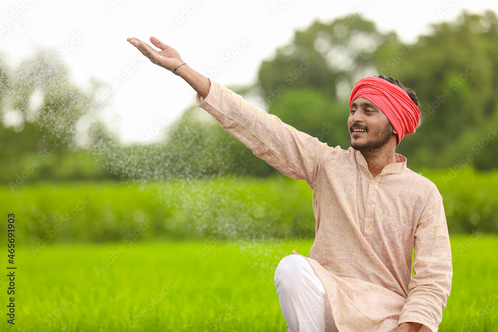 Fototapeta premium Indian farmer spreading fertilizer in the green agriculture field.