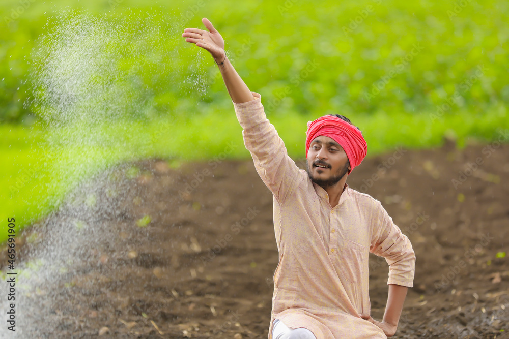 Indian farmer spreading fertilizer in the green agriculture field ...