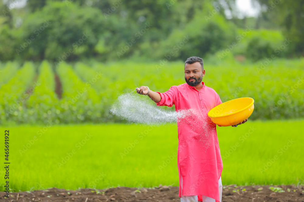 Indian farmer spreading fertilizer in the green agriculture field ...