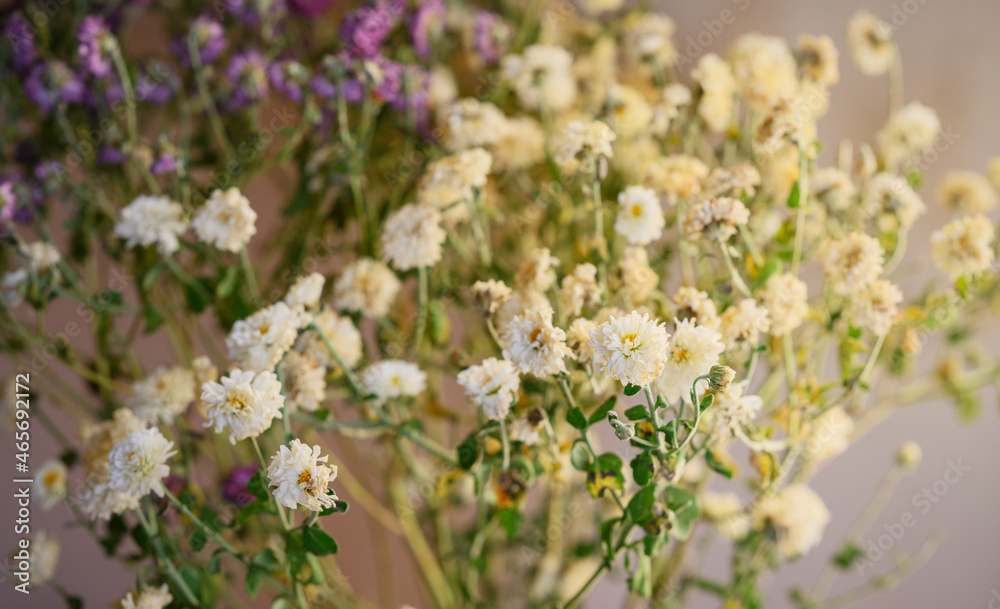 Withered bouquet of flowers. Shallow depth of field. Withered bouquet of flowers. Shallow depth of field.