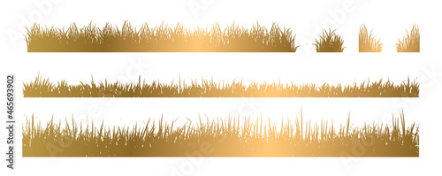 Golden Grass White Background Vector