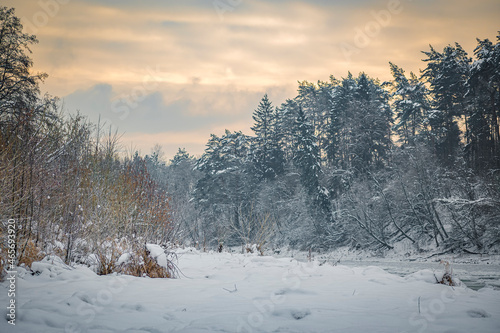 Dramatic evening sky near Neris river, Vilnius, Lithuania. Dark snow covered forest, orange cloudscape. Selective focus on the plants, blurred background.