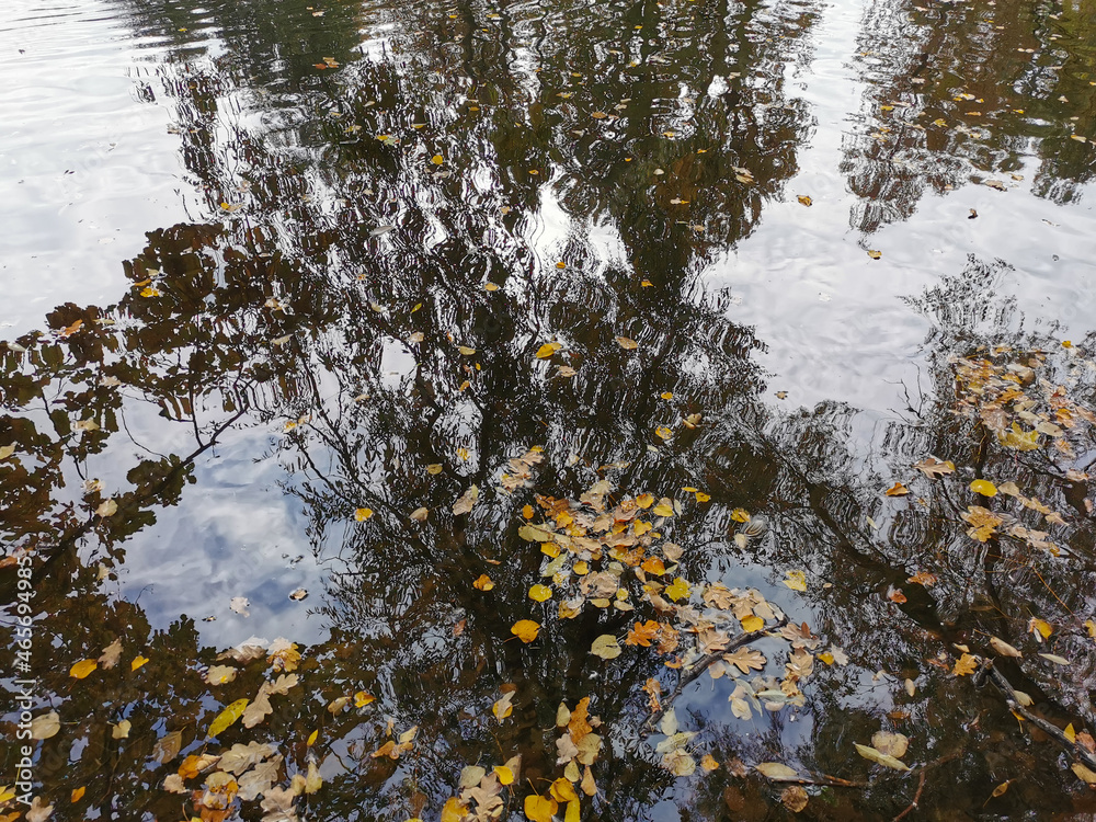 The surface of the pond, which reflects the autumn trees and the sky with clouds. The surface of the pond, which reflects the autumn trees and the sky with clouds.