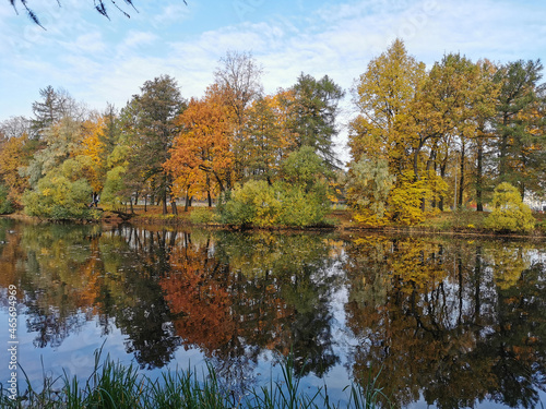 Autumn in the park. Trees with yellowing leaves grow around the pond and are reflected in its water.