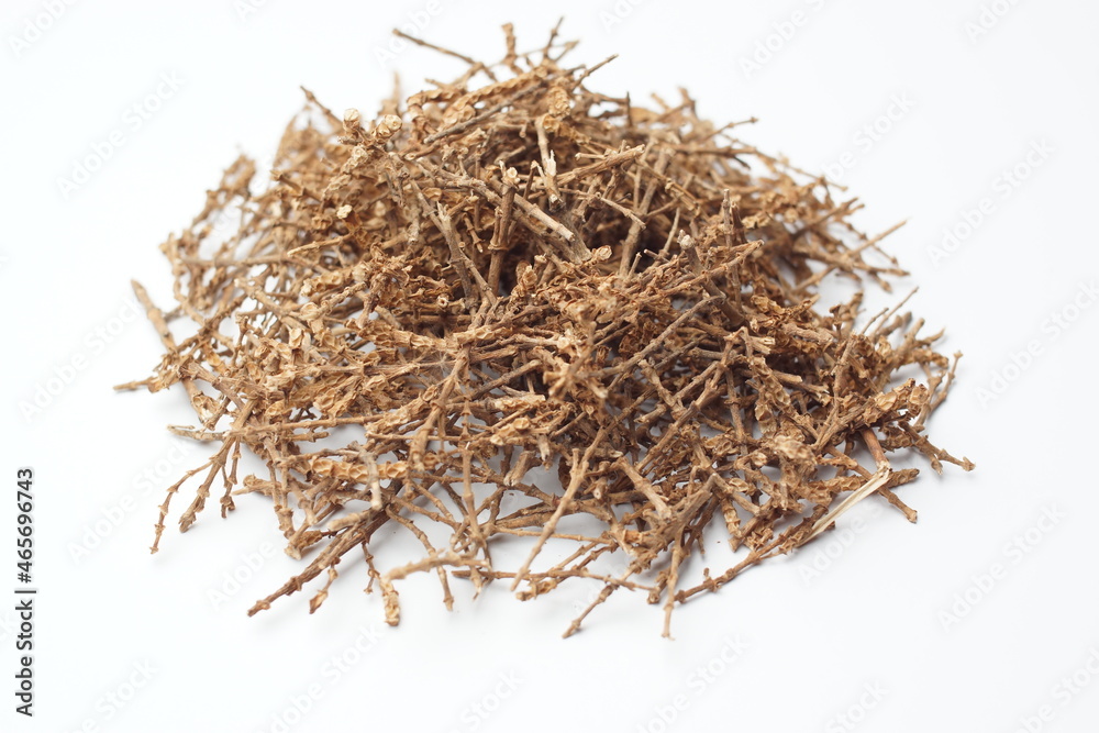 dried salicomia herbacea isolated on white background
dried salicomia herbacea isolated on white background