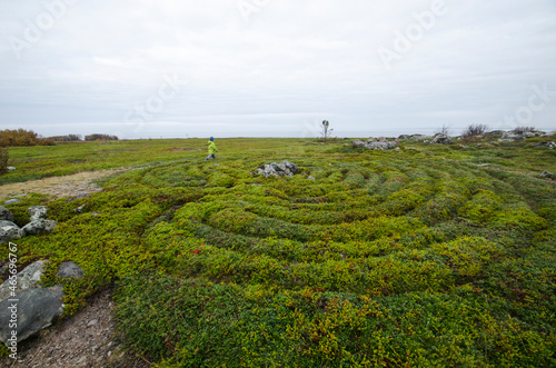 Stone labyrinth on Solovki. Russia, Arkhangelsk Region, Bolshoi Zayatsky Island  photo