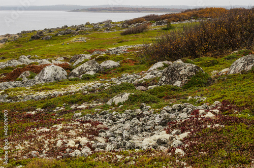 Stone piles among the tundra. Ancient graves. Solovki 