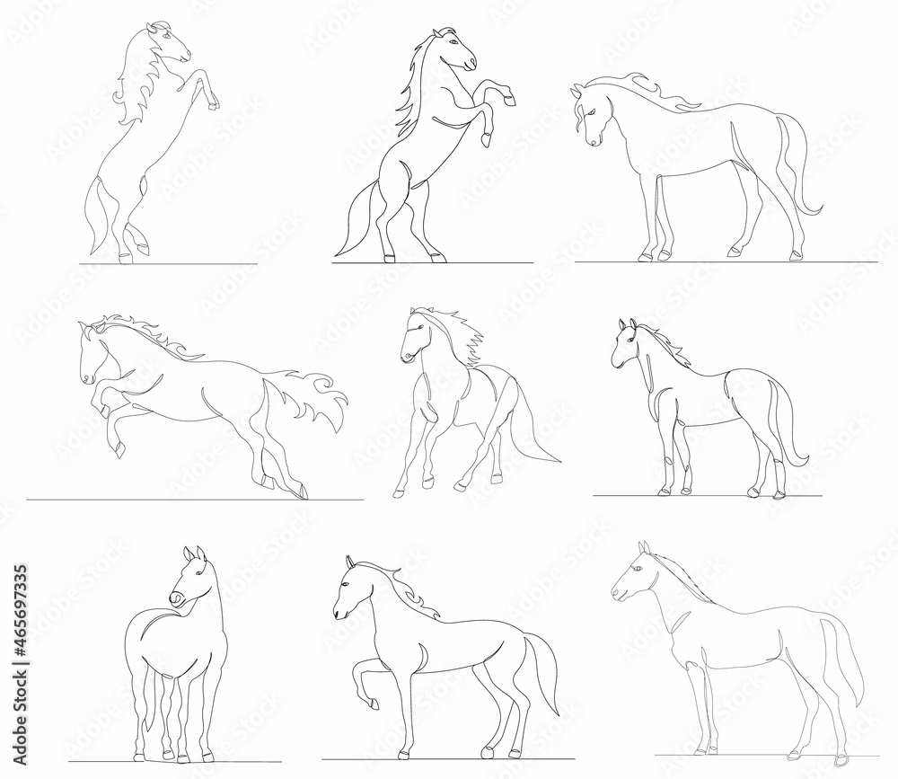 set of horse drawing one continuous line vector set of horse drawing one continuous line vector