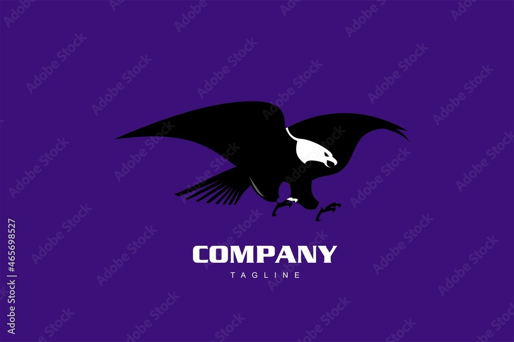 Fototapeta premium Flying Eagle, spread out its feather
