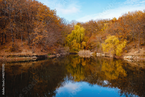 Beauty autumnn nature concept background.