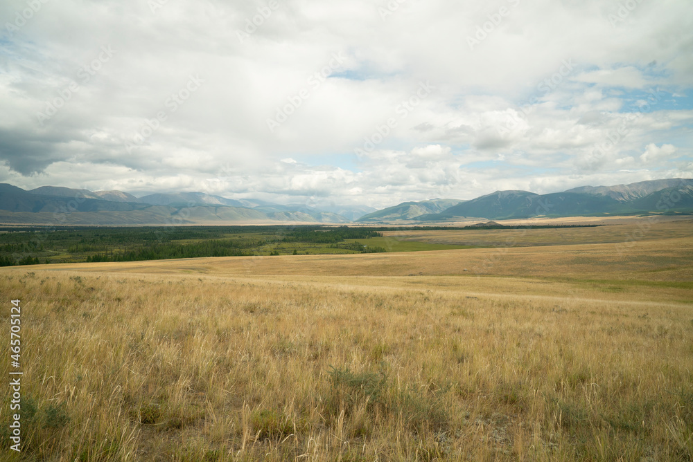 Altai steppe and mountains