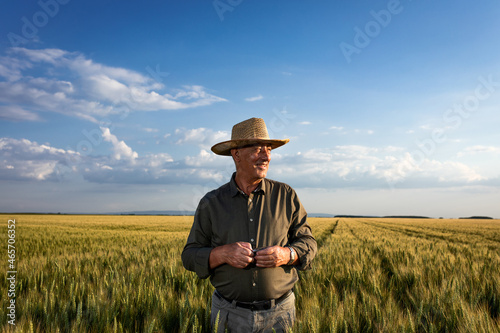 Foto Portrait of senior farmer in standing in wheat at sunset.