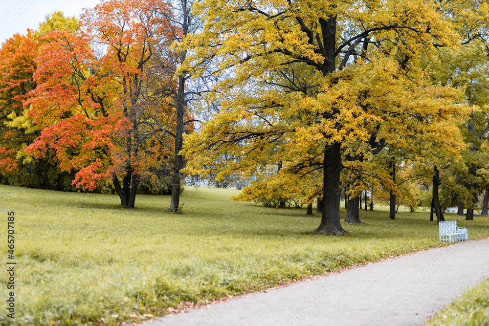 Naklejka premium View of Russian park in the autumn evening