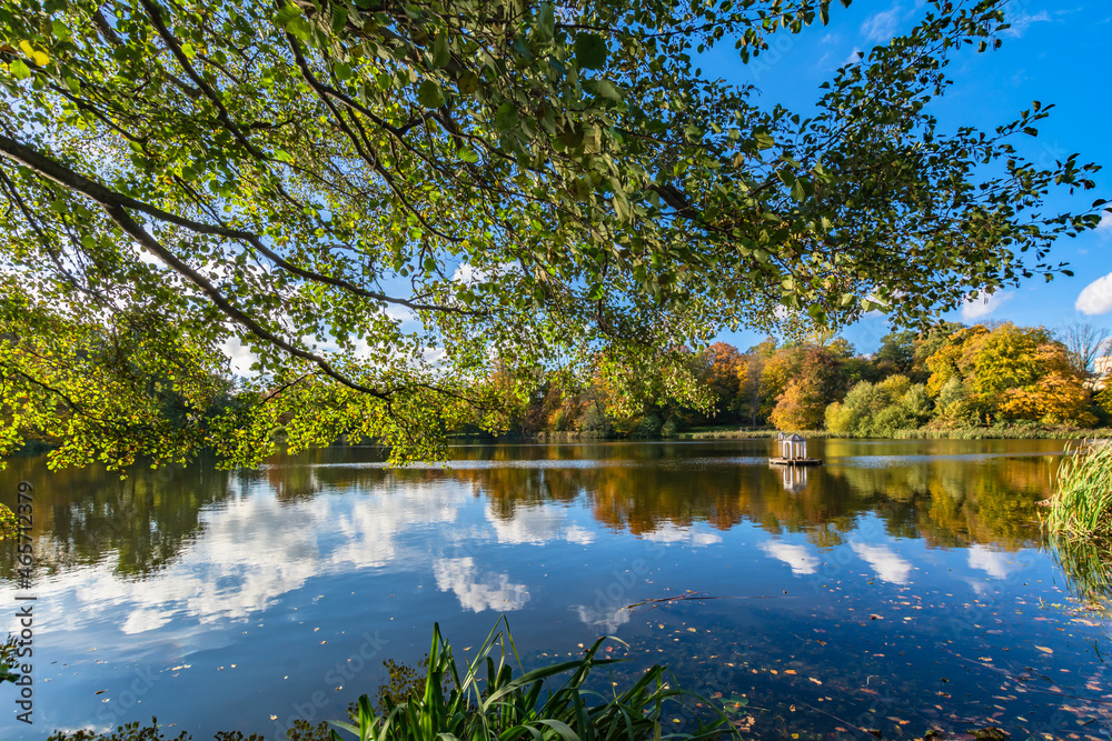 Fototapeta premium Schwanenteich im Schlosspark Putbus auf Rügen