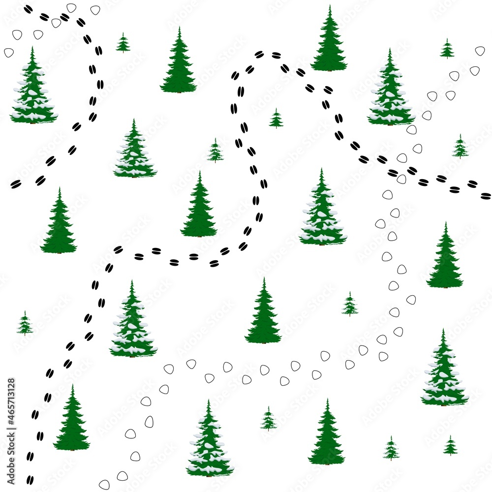 Seamless texture of vector of traces of wild animals in the winter fir forest. Vector.