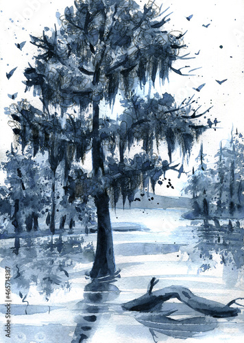 Indigo colored nautical painting with louisuana swamp, cypress tree and spanish moss. Hand drawn watercolor illustration.