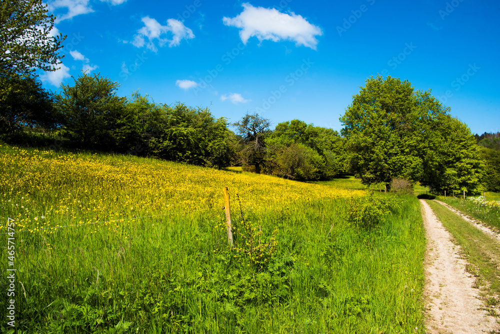 Obraz premium Frühling