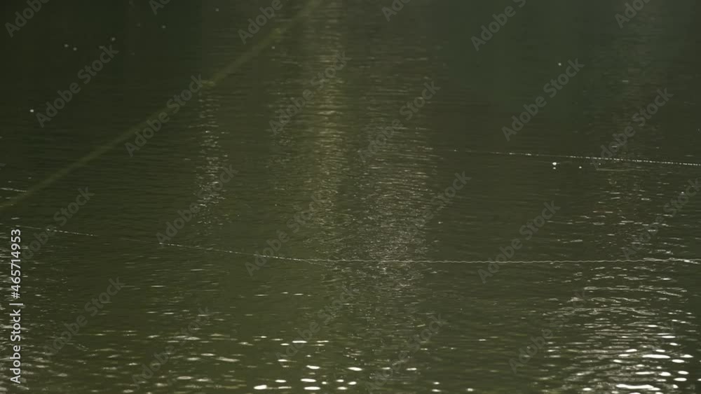 Lake trout are caught in sport fishing competitions Lake trout are caught in sport fishing competitions