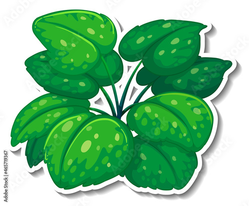Tropical leaves brush sticker on white background