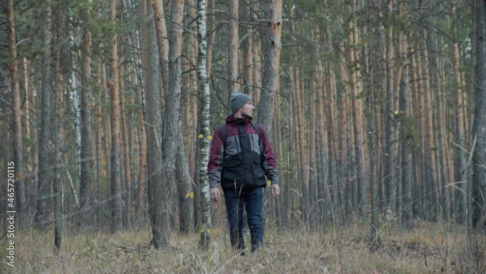 Traveler in the Pine Forest Looks Around and Enjoys Nature and a Beautiful Day. Young Man Hiking in Forest. Active healthy Beautiful man in wood. Man Walks Along Forest. Leisure, bio-tourism Traveler in the Pine Forest Looks Around and Enjoys Nature and a Beautiful Day. Young Man Hiking in Forest. Active healthy Beautiful man in wood. Man Walks Along Forest. Leisure, bio-tourism