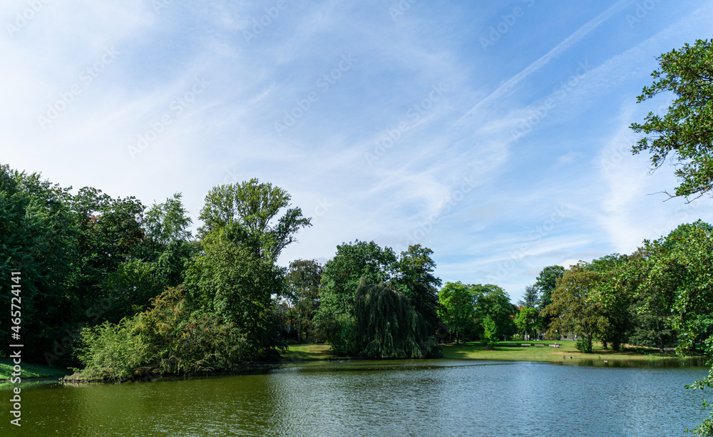 View to the lake shore with trees and blue sky View to the lake shore with trees and blue sky