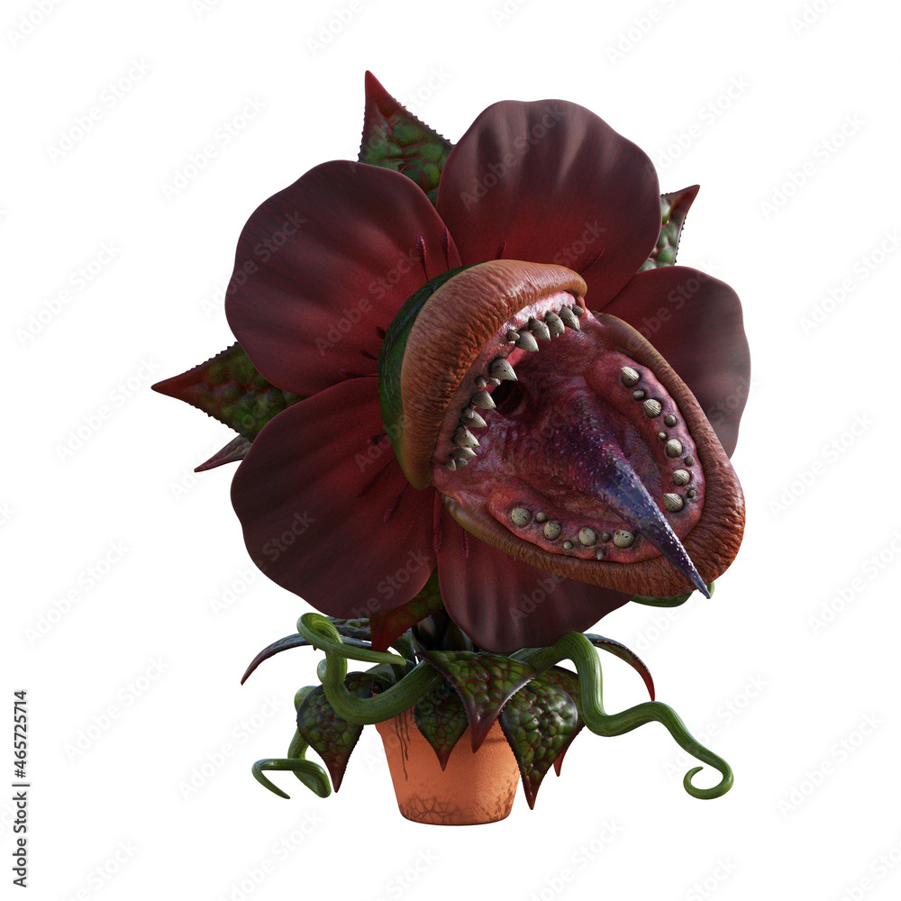 Flesh eating plant
