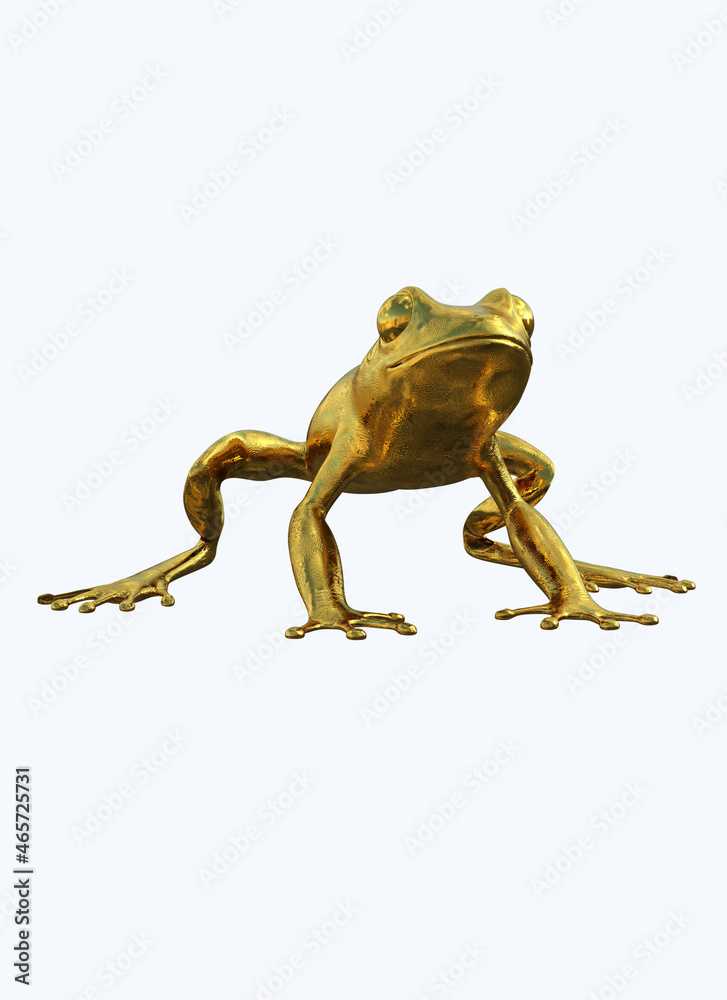 golden frog