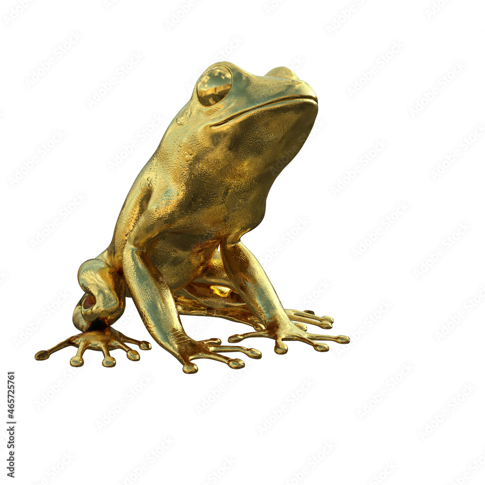 frog on white