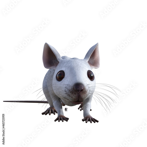 Obraz na płótnie mouse on white background w salonie