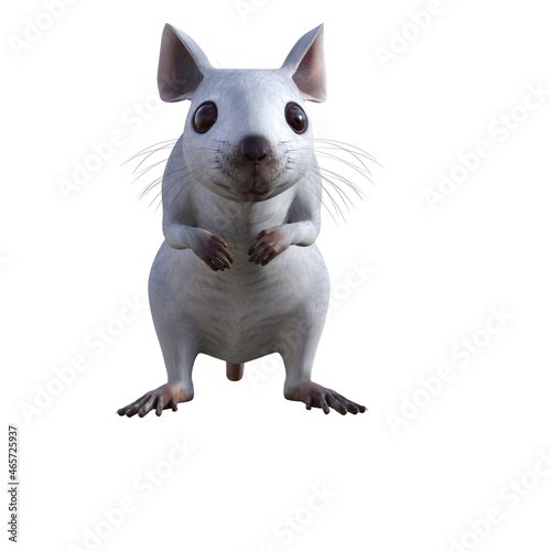 Obraz na płótnie mouse w salonie