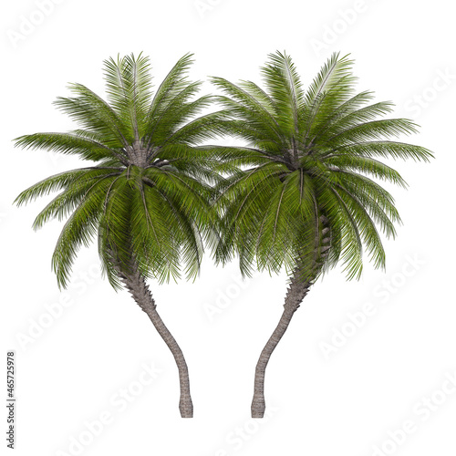 Obraz na płótnie palm tree silhouette w salonie