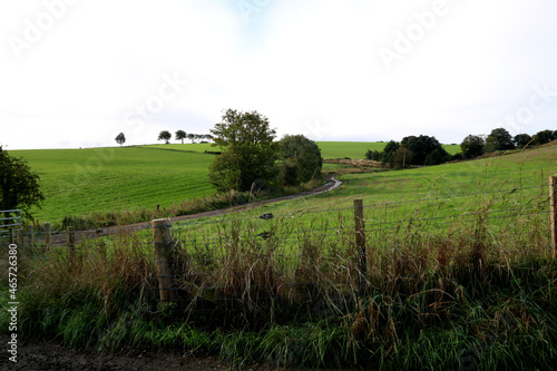 Farmland View with Wire Fence and Farm Track