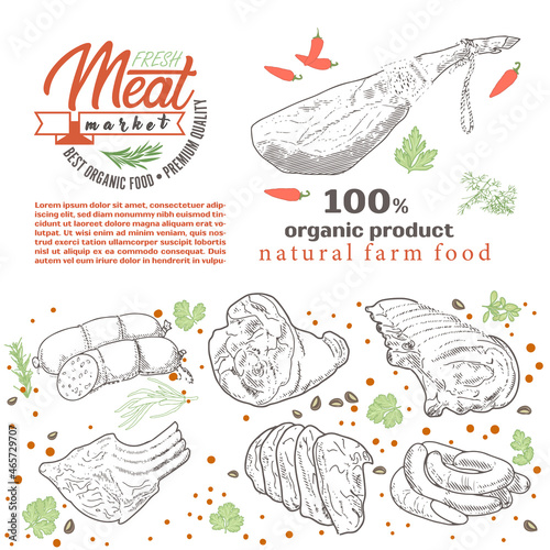 Set of meat products and meat delicacies. Sausages, ham, bacon, lard, salami in sketch style.