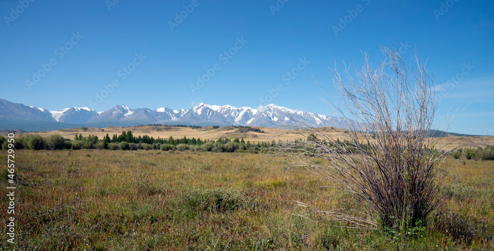 Nice view of snowy mountains and steppe in summer