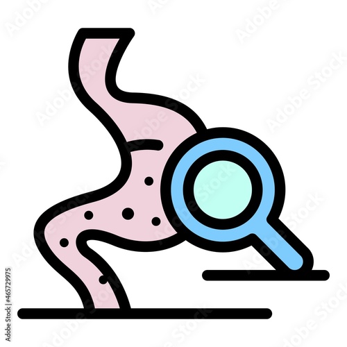 Stomach inspection icon. Outline stomach inspection vector icon color flat isolated