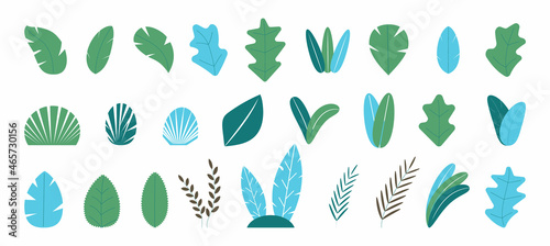 set of green leaves