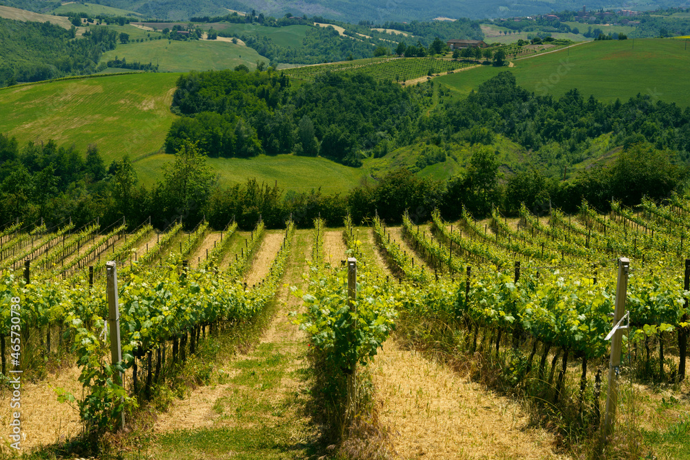 Fototapeta premium Rural landscape near Guiglia, Emilia-Romagna.