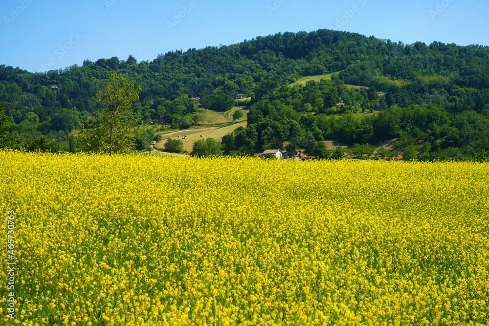 Rural landscape on the hills near Bologna, Emilia-Romagna.
