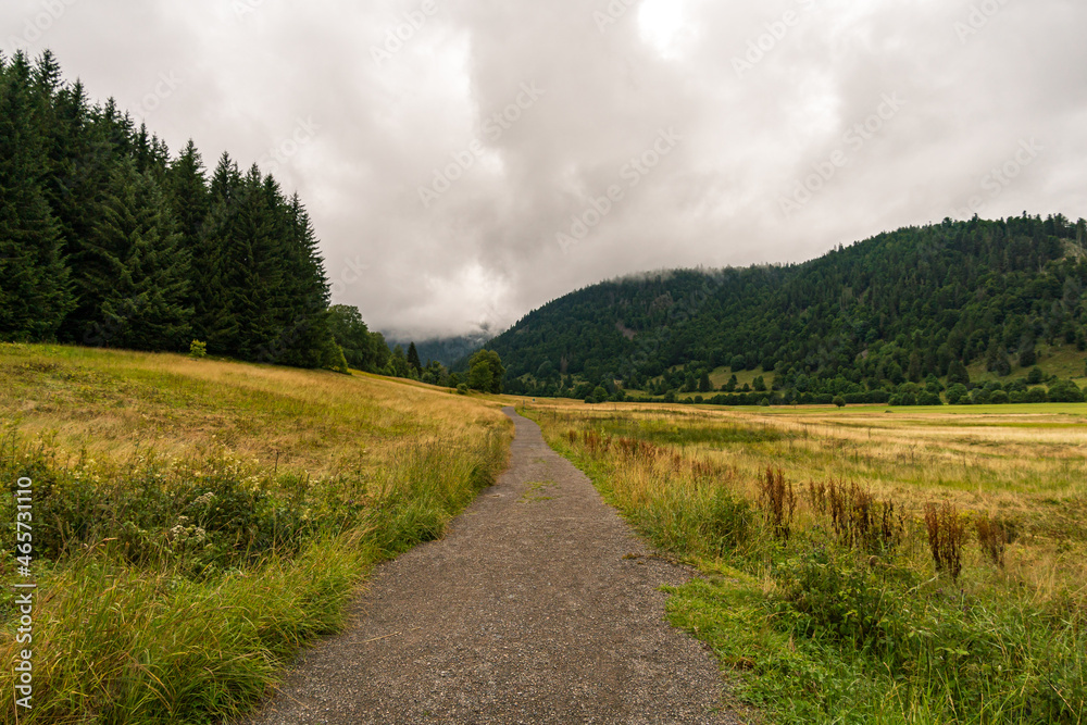 Relaxed hike in the southern Black Forest to the Menzenschwander waterfalls Relaxed hike in the southern Black Forest to the Menzenschwander waterfalls