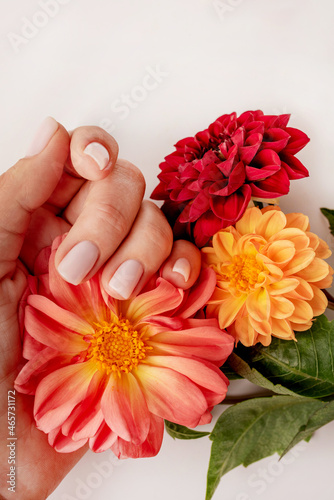 Light manicure with gel coating on a young female hand with bright flowers on a white background with space for text
