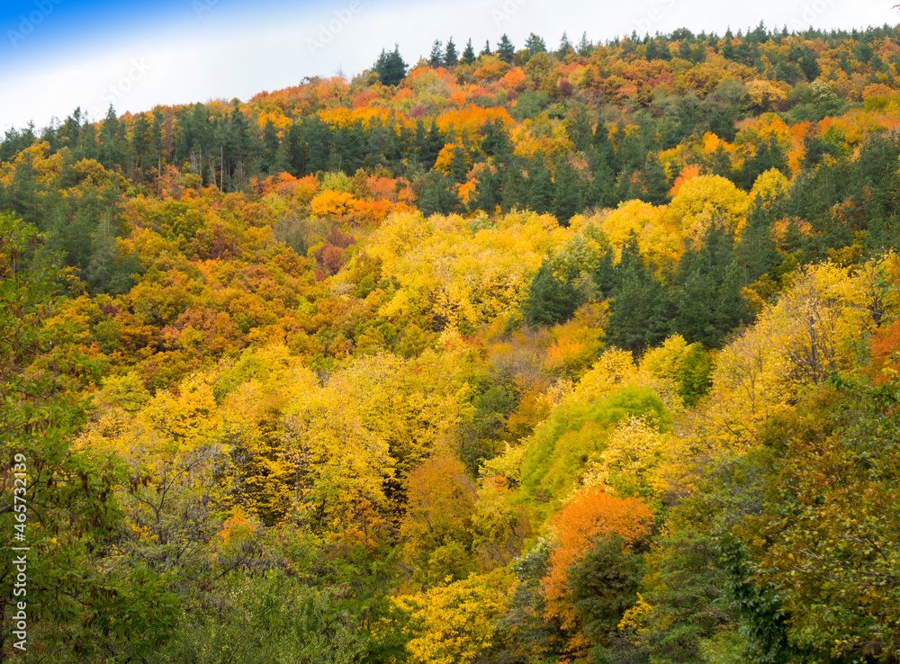 autumn color in Stara Planina in Bulgaria_2